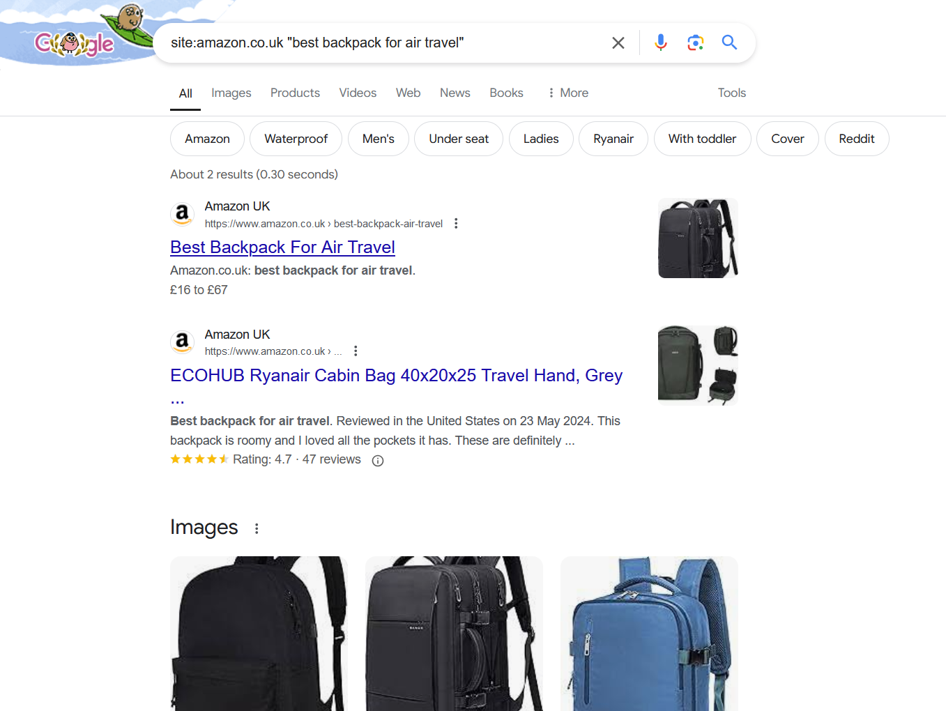 best backpack for air travel