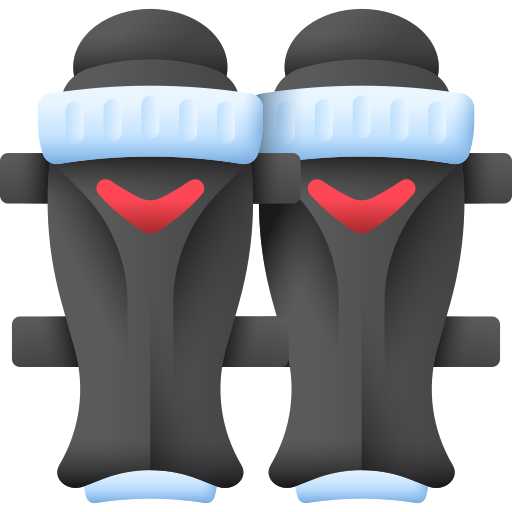 Shin Guards